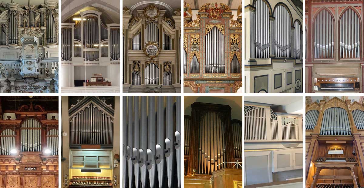 Alle zwölf Orgeln des Monats im Jahr 2025